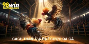 Cách tham gia đặt cược đá gà